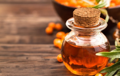 Rakytník (Hippophae rhamnoides Linn) Rakytník (Hippophae rhamnoides Linn)